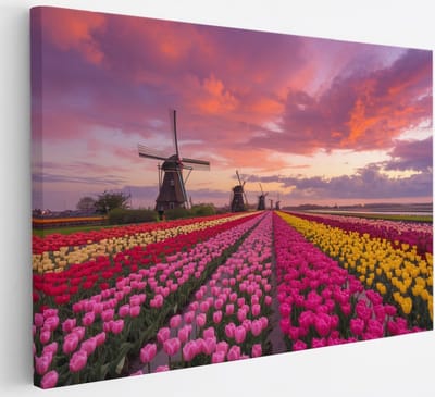 Saammp Canvas Schilderij - Nederland - Bloemen - Tulpen - Molen - Landschap - Natuur - 30x20 - Foto op canvas - Wanddecoratie - Muurdecoratie Woonkamer - Slaapkamer decoratie - Canvas Print