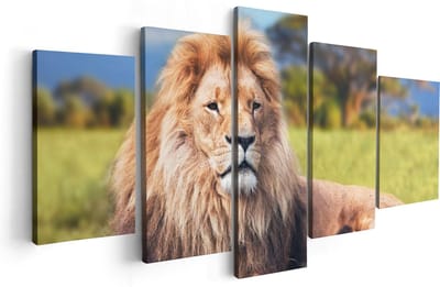 Artaza Canvas Schilderij Vijfluik Leeuw - 100x50 - Foto Op Canvas - Canvas Print