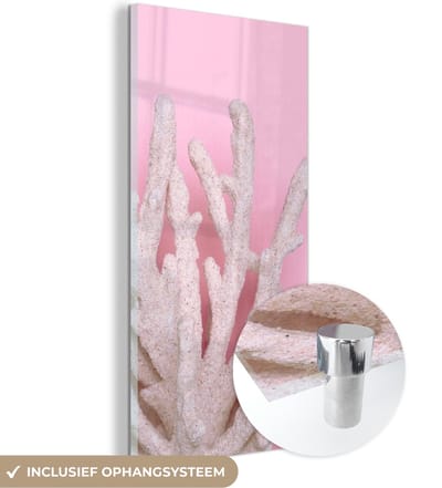 MuchoWow® Glasschilderij 20x40 cm - Schilderij acrylglas - Koraal - Roze - Zomer - Foto op glas - Schilderijen