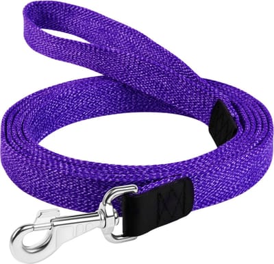WAUDOG Canvas Hondenlijn / Hondenriem - Gevlochten Katoen - Paars gemêleerd - Breedte: 25 mm - Lengte: 200 cm