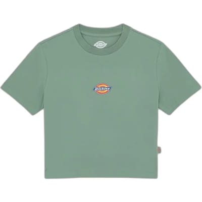 T-shirt Korte Mouw Dickies MAPLE VALLEY DK0A4XPO-L191 SEA SPRAY
