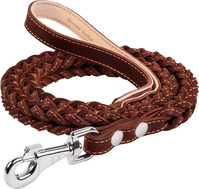 WAUDOG Classic Hondenriem - Gevlochten (vierkant) - Leder - Bruin - Breedte: 20 mm - Lengte: 122 cm