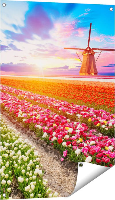 Gards Tuinposter Kleurrijke Bloemenveld met een Windmolen - 60x90 cm - Tuindoek - Tuindecoratie - Wanddecoratie buiten - Tuinschilderij