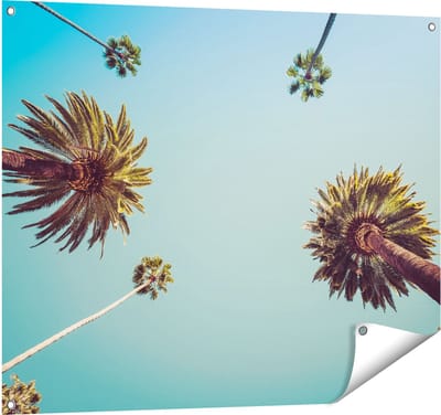 Gards Tuinposter Palmbomen met Bladeren in de Lucht - 100x80 cm - Tuindoek - Tuindecoratie - Wanddecoratie buiten - Tuinschilderij