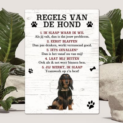 Spreuken - Teckel langharig - Regels Van De Hond - Spreuken Bordjes - Spreukenbord - Tekstborden - Cadeau - Hondenras