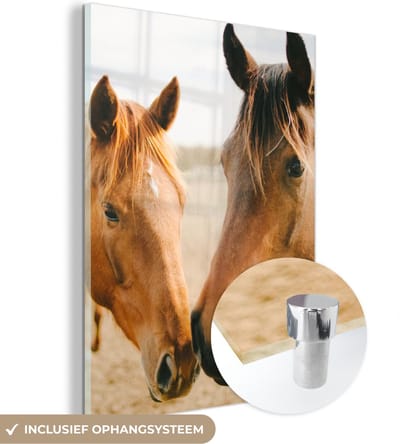 MuchoWow® Glasschilderij 30x40 cm - Schilderij acrylglas - Paard - Strand - Dieren - Foto op glas - Schilderijen