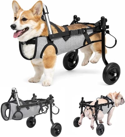 Hondenrolstoel voor achterpoten, verstelbare mobiliteitshulp met ademend gaas, veiligheidsgordels en lichtgewicht aluminium frame voor kleine honden en katten, ideaal bij verlamming en beperking
