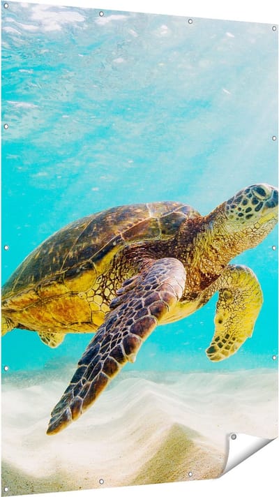 Gards Tuinposter Schildpad Zwemt in de Helder Blauwe Zee - 120x180 cm - Tuindoek - Tuindecoratie - Wanddecoratie buiten - Tuinschilderij