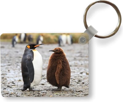 Sleutelhanger - Keizerpinguïn met bruin gekleurd jong. - Uitdeelcadeautjes - Plastic