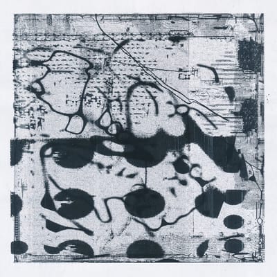 Simon Lanz & Tobias Lanz - Arches (LP)