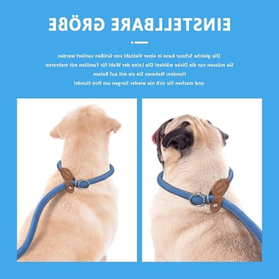 Hondentuig voor Grote Honden met Antislip en Verstelbare Kraag - Duurzaam en Comfortabel voor Kleine, Middelgrote en Grote Honden (Zwart, L)