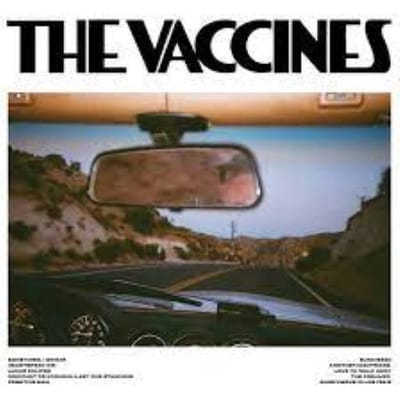 The Vaccines - Pick-Up Full Of Pink Carnations (LP) (Indies-Only)