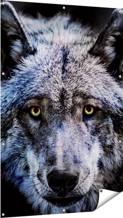 Gards Tuinposter Grijze Wolvenkop - Wolf - 100x150 cm - Tuindoek - Tuindecoratie - Wanddecoratie buiten - Tuinschilderij