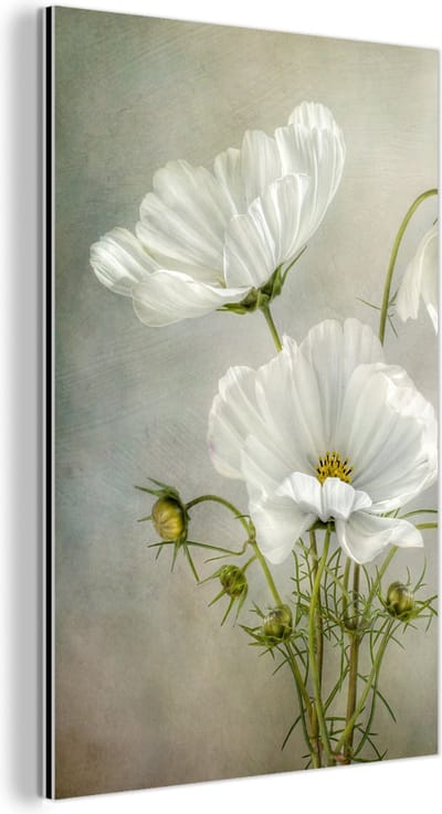 Aluminium schilderij 120x180 cm - Wanddecoratie metaal - Bloemen - Stilleven - Klaproos - Wit - Botanisch - Metalen muurdecoratie woonkamer - Decoratie industrieel - Foto op dibond - Industriële accessoires slaapkamer