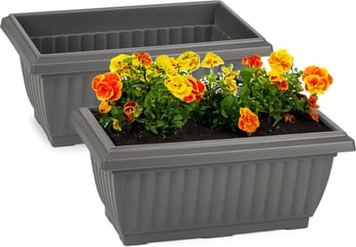 Plasticforte Plantenpot/bloempot Windsor - 2x - buiten - kunststof - antraciet - L33 x B18 x H15 cm - plantenbak - balkon/terras/tuin
