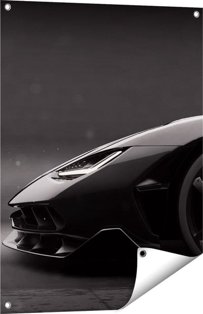 Gards Tuinposter Zijaanzicht Zwarte Sportwagen Auto - 60x80 cm - Tuindoek - Tuindecoratie - Wanddecoratie buiten - Tuinschilderij