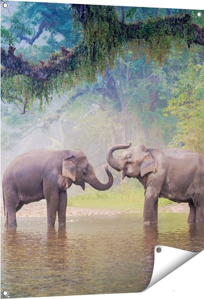 Gards Tuinposter Twee Olifanten in het Water - 80x100 cm - Tuindoek - Tuindecoratie - Wanddecoratie buiten - Tuinschilderij