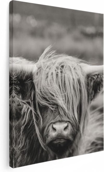 Artaza Canvas Schilderij Hooglander - 30x40 cm - Klein - Wanddecoratie Dierenkop - Muurdecoratie Woonkamer - Kamer Accessoires