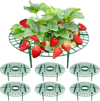 Set van 10 herbruikbare aardbeienplantenhouders, vierkant frame 20 × 25 cm voor optimale aardbeienteelt, voorkomt rot en ondersteunt fruitgroei