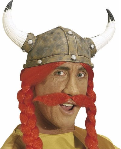 Ierse grote rode snor