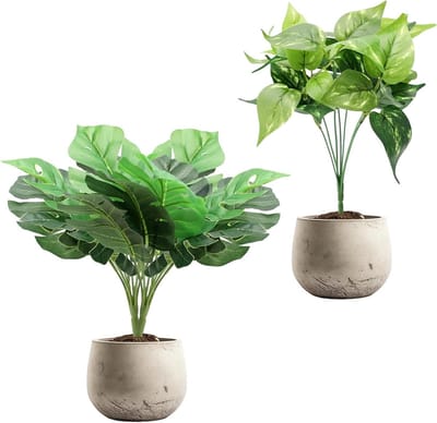 SnelShoppen - 3 Mini Kunstplanten Monstera (20 cm) in Potten, Decoratieve Neppanten voor Binnen en Buiten, Ideaal voor Tafelversiering, Groene Planten