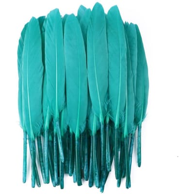50/100/200 stuks Blauwe Ganzenveren Harde Schacht 4-6inch/10-15cm Echte Natuurlijke Zwanenveer Huis Decoratief Dromenvanger Handwerk 100Pieces