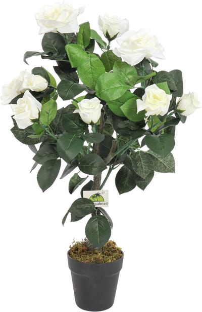 Kunst Rozenplant Met Witte Bloemen | 75cm - Namaak rozenplant - Kunstplanten voor binnen - Kunstplant rozenplant