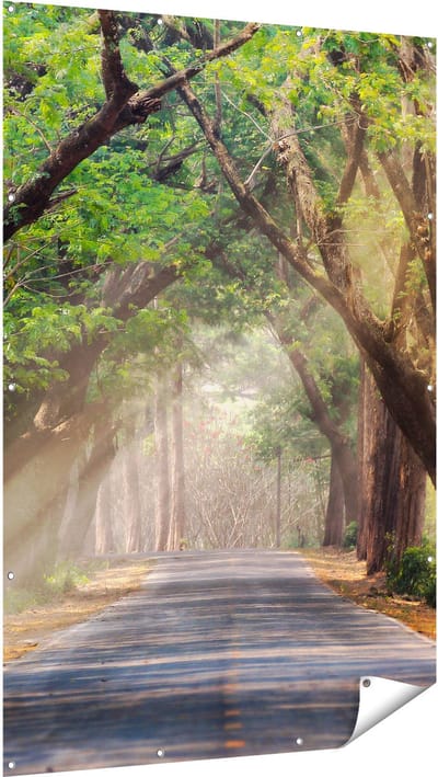 Gards Tuinposter Weg Omringd met Bomen - 120x180 cm - Tuindoek - Tuindecoratie - Wanddecoratie buiten - Tuinschilderij