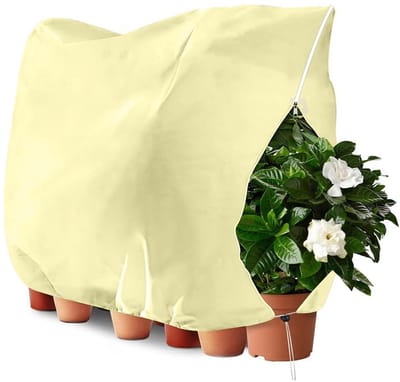 Dailygoods- Plantenhoes Winterbescherming - Ademend - 200x240cm - Rits-Trekkoord - Bescherming Tegen Vorst - Geschikt Voor Planten - Tuinbedekking