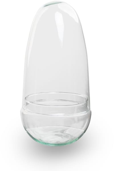 Egg - DIY Terrarium Online | Florazo