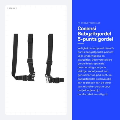 Dailygoods- Babyzitgordel 5-punts ontwerp - Veiligheidsgordel kinderstoel - Verstelbare riem - Eenvoudig in gebruik - Volledige bescherming