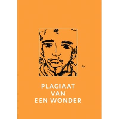 Plagiaat Van Een Wonder - Liesbeth Annokkee