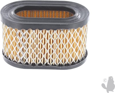 Luchtfilter voor BRIGGS & STRATTON, Europa OHV - L: 95mm, br: 57mm, H: 55mm
