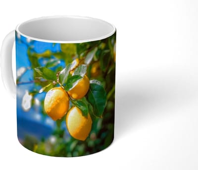 Mok - Koffiemok - Citroenen - Bladeren - Blauwe lucht - Mokken - 350 ML - Beker - Koffiemokken - Theemok