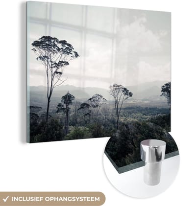 MuchoWow® Glasschilderij 120x90 cm - Schilderij acrylglas - Bomen - Lucht - Natuur - Foto op glas - Schilderijen