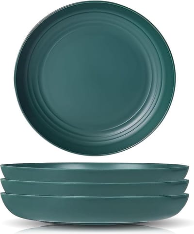 4 stuks borden, onbreekbare robuuste dinerborden, lichte platte borden, herbruikbaar, voor pasta, pizza, salade, magnetron, vaatwasmachinebestendig