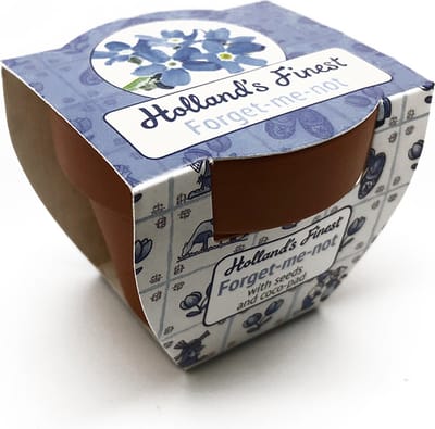 Vergeet me nietje in terracotta potje - met een zakje met zaadjes en een turf- of cocostablet