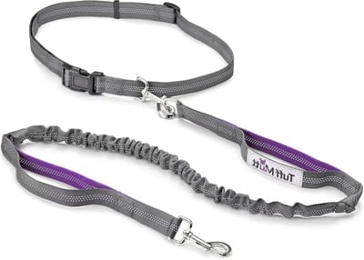 Handsfree Hondenriem - Loopriem Hond Jogging Riem - Hond Uitlaten - Dubbele Handgreep - 1.2 Meter - Paars