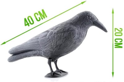 XL Duivenverjager Nep Kraai / Raaf - Duiven Verschrikker Vogelverschrikker - Vogel Verjager