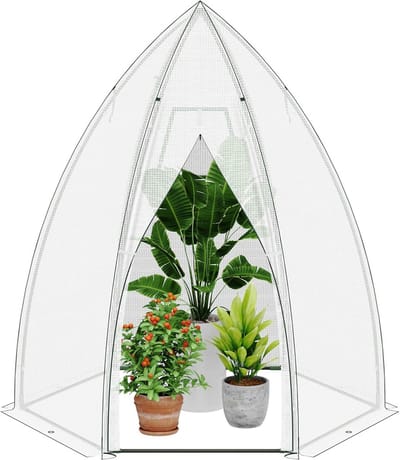 Overwinteringstent voor Planten - Broeikas met Deur, Diameter 160 x 180 cm, Winterbestendig en Ventileerbaar