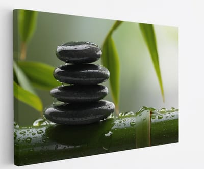 Saammp Canvas Schilderij - Stenen op Bamboe - Landschap - Natuur - 45x30 - Foto op canvas - Wanddecoratie - Muurdecoratie Woonkamer - Slaapkamer decoratie - Canvas Print