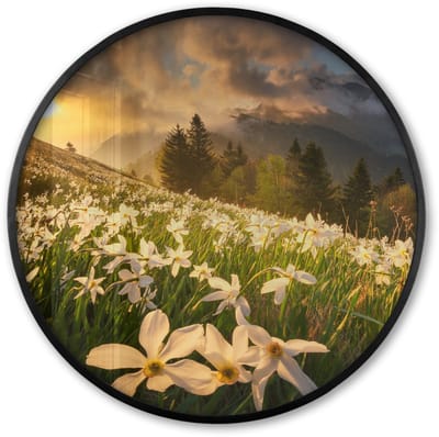 Poster in lijst Rond - Fotolijst 60x60 cm - Posters - Bloemenveld - Heuvels - Zonsondergang - Berg - Natuur - Wit - Heuvels - Ronde posterlijst zwart - Decoratie - Wanddecoratie woonkamer - Muurdecoratie slaapkamer