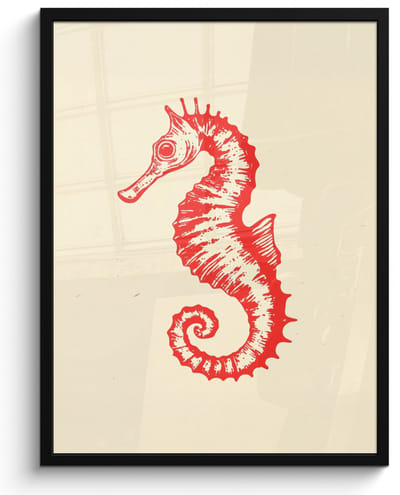 Poster in lijst - Fotolijst 60x80 cm - Posters - Zeepaardje - Rood - Fijne details - Posterlijst zwart - Decoratie - Wanddecoratie woonkamer - Muurdecoratie slaapkamer