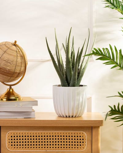HowHomely Stripped Serie - Bloempot - Wit - 18cm - Weerbestendig