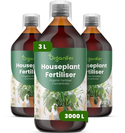 Vloeibare Meststof Voor Kamerplanten 3X1 Voor 3000 L - Npk 2-1-8 - Ondersteunt Een Evenwichtige Groei Van Kamerplanten - Versterkt Wortelactiviteit En Verbetert Nutriëntenopname -Verbetert Bladkleur, Dichtheid En Stevigheid - Organifer