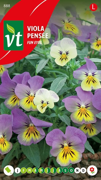 Viola 'Miniatuur Fun Eyes' - Kleurrijke Bloemenmix voor Perken en Potten