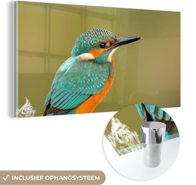 MuchoWow® Glasschilderij 40x20 cm - Schilderij acrylglas - IJsvogel - Dieren - Vogel - Foto op glas - Schilderijen