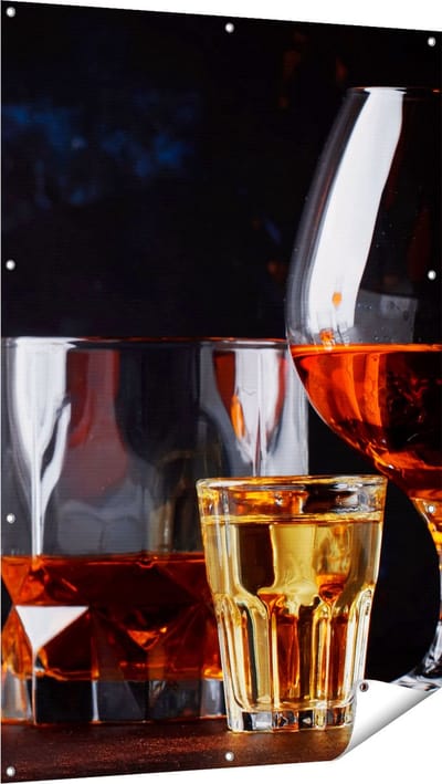 Gards Tuinposter Sterke Alcohol Drank - Glazen - 100x150 cm - Tuindoek - Tuindecoratie - Wanddecoratie buiten - Tuinschilderij