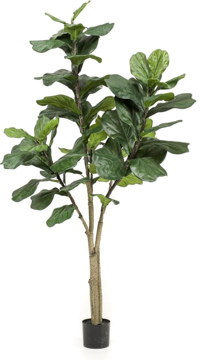Emerald - Kunstboom Ficus Lyrata 180cm - Kunstplant voor binnen - Ficus kunstplant