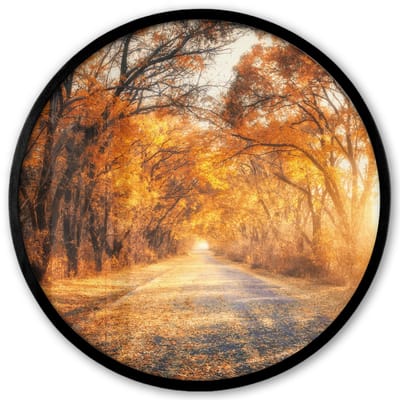 Poster in lijst Rond - Fotolijst 40x40 cm - Posters - Bos - Herfst - Bomen - Bospad - Natuur - Ronde posterlijst zwart - Decoratie - Wanddecoratie woonkamer - Muurdecoratie slaapkamer